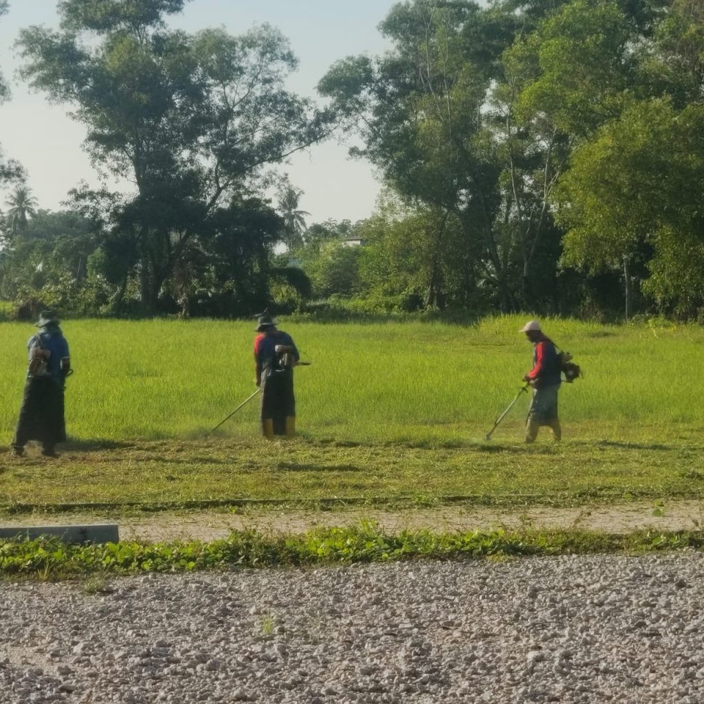 KERJA-KERJA PEMOTONGAN RUMPUT DI TAMAN KEJIRANAN KUNDUR (TAMAN REKREASI MADANI), ALOR SETAR